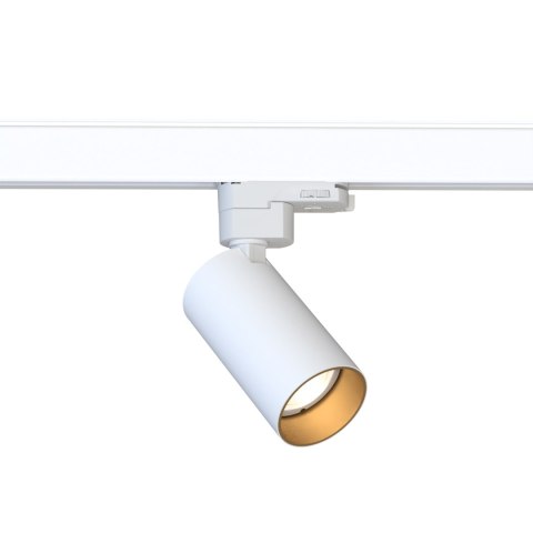 Lampy - CTLS MONO