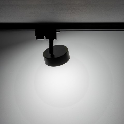 Lampy - PROFILE PUCK Lampy - PROFILE PUCK