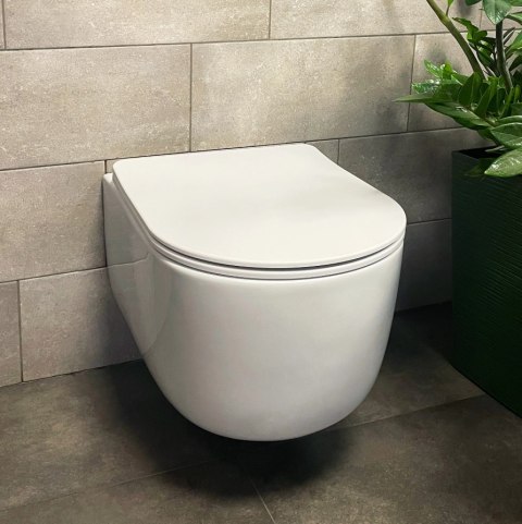 Rimless Wall-Hung Toilet Bowl Eddy N Tornado Rimless Wall-Hung Toilet Bowl Eddy N Tornado