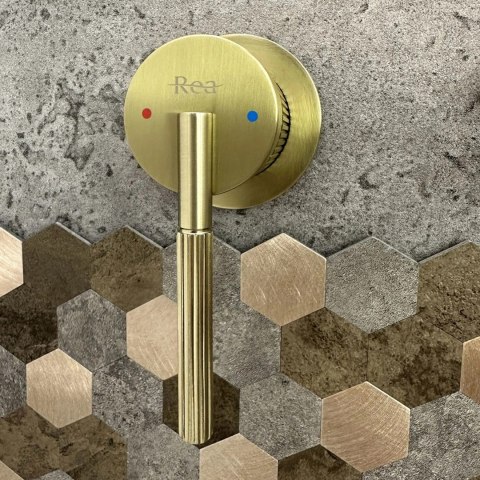 Basin Tap Concealed Argon Brushed Gold
