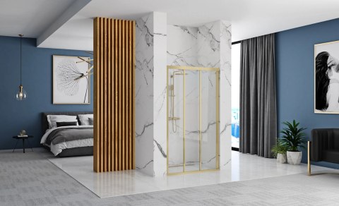 Shower Door Alex Brush Gold 90
