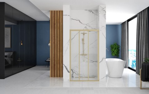 Shower Door Alex Brush Gold 90
