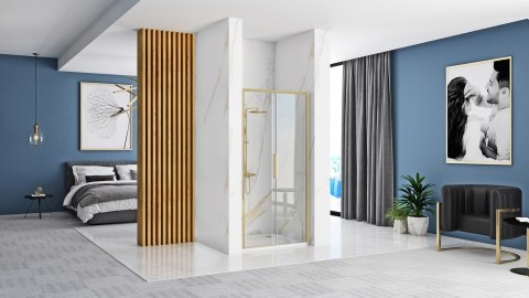 Shower Door Rapid Slide Brush Gold 100