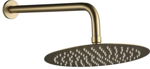 Concealed Shower Set REA Lungo Grip Brushed Gold + BOX