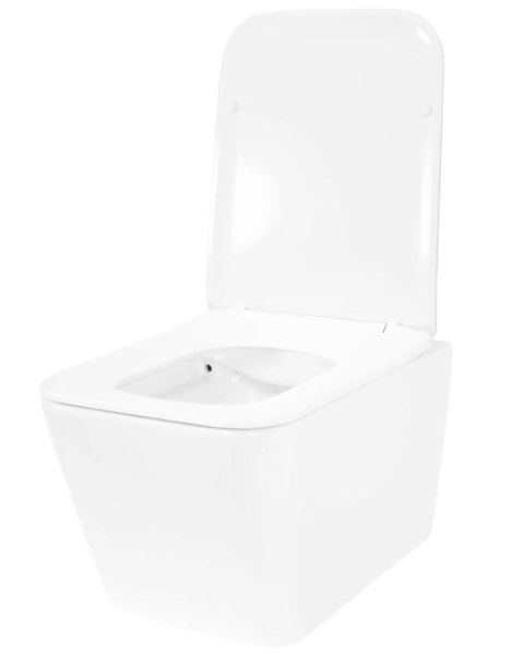 WC - JULIO RIMLESS