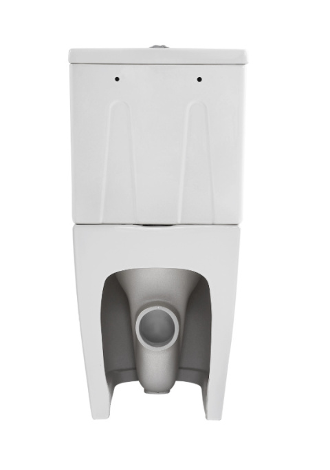 Neo Sensea Back To Wall Toilet with Horizontal Outlet Neo Sensea Back To Wall Toilet with Horizontal Outlet