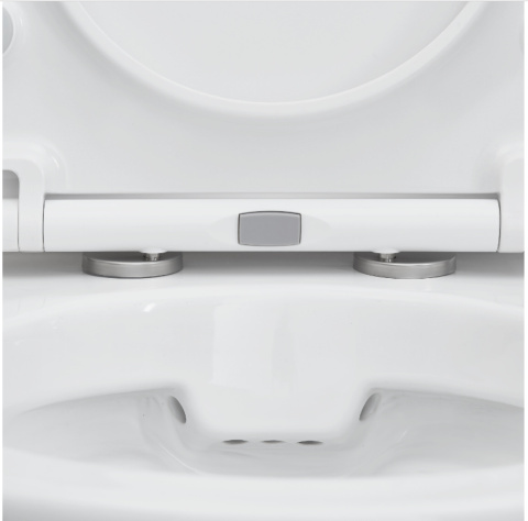 Neo Sensea Back To Wall Toilet with Horizontal Outlet Neo Sensea Back To Wall Toilet with Horizontal Outlet