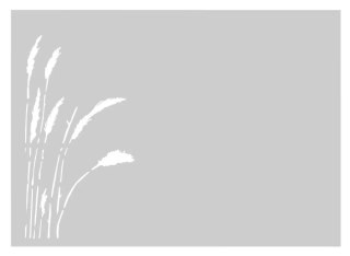 Przęsło typ FLORAL - 2 x 1,25 m